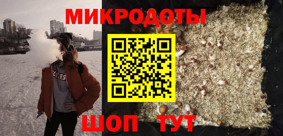 Галлюциногенные грибы Cubensis Удомля