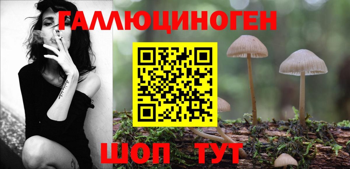 наркота  Вход с VPN  Удомля  Псилоцибиновые грибы Psilocybine cubensis 